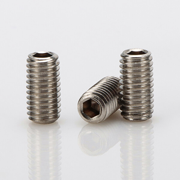 Stainless steel Headless socket Screw